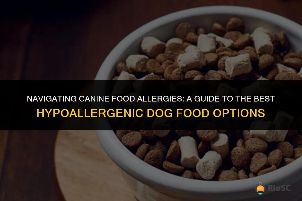 what is the best dog food for food allergies