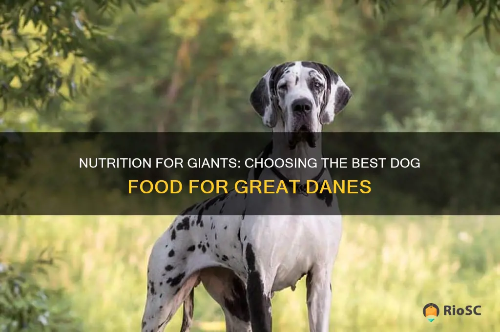 what is the best dog food for great danes