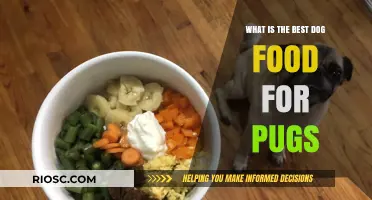 Nutritious and Delicious: Finding the Perfect Dog Food for Your Pug's Unique Needs