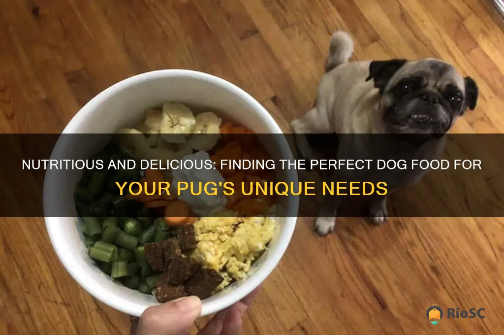 what is the best dog food for pugs
