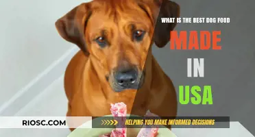 Top-Rated USA-Made Dog Foods: A Comprehensive Guide to the Best Options for Your Canine Companion