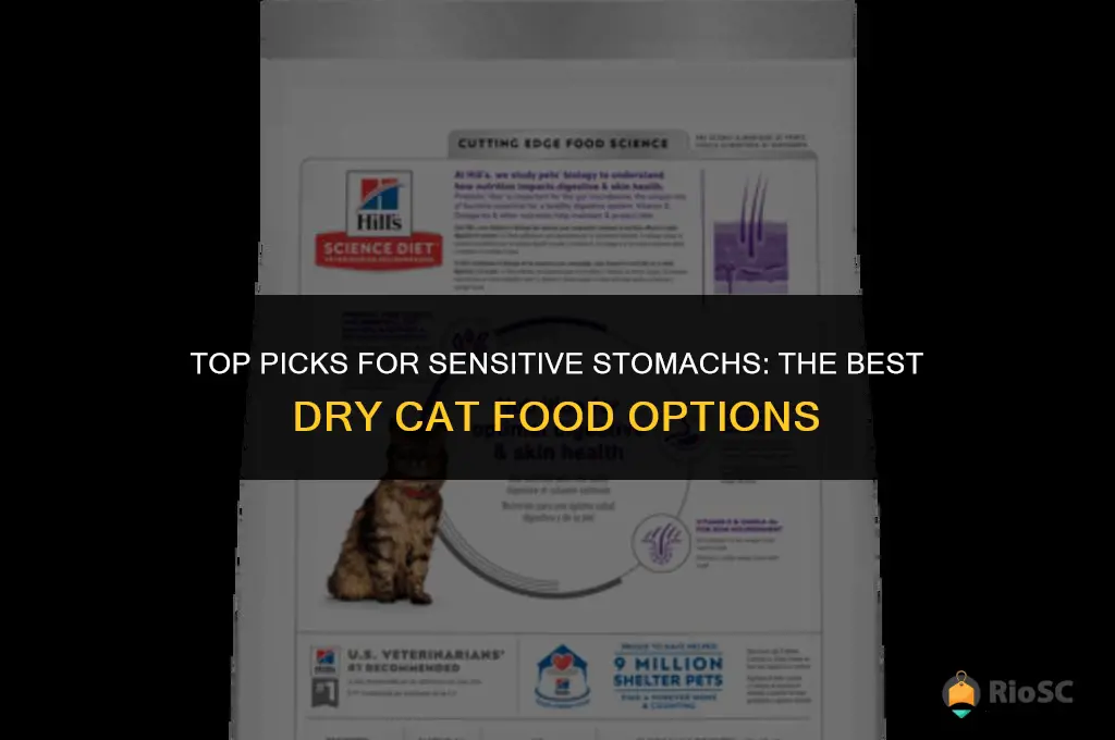 what is the best dry cat food for sensitive stomacs