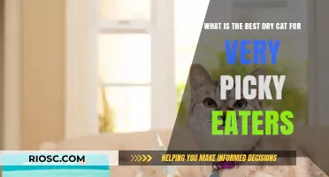 Top Picks for Picky Eaters: The Best Dry Cat Food to Satisfy Fussy Felines