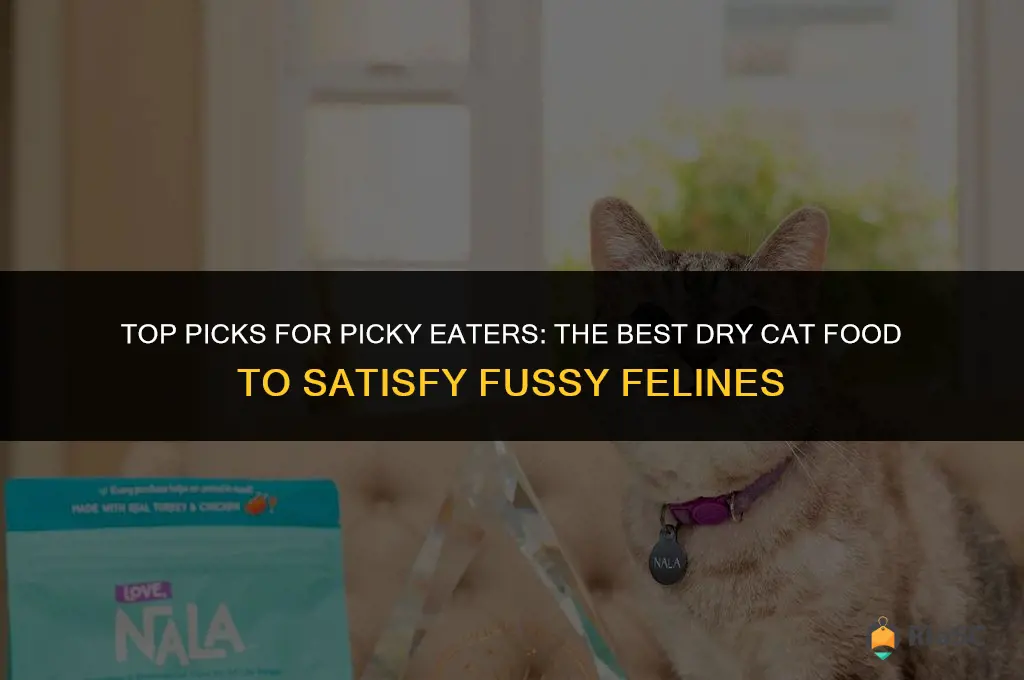what is the best dry cat for very picky eaters