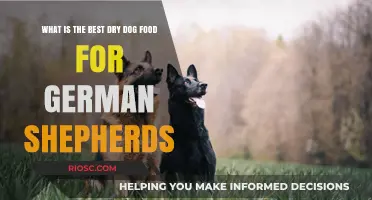Top-Rated Dry Dog Food Options for German Shepherds: Nutrition, Health, and Taste