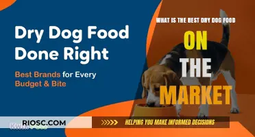 Top Picks for Your Furry Friend: The Best Dry Dog Food Options Available