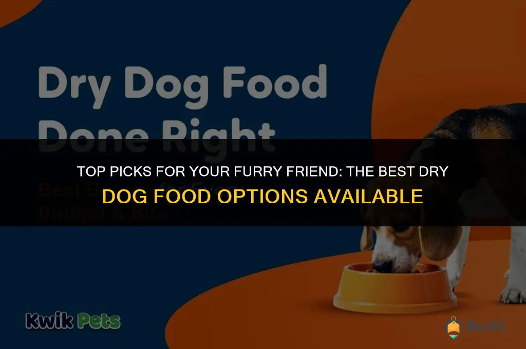 what is the best dry dog food on the market
