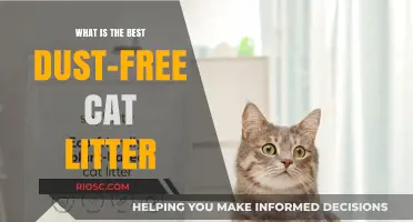 Top Dust-Free Cat Litter Options: Keep Your Home Clean and Your Cat Happy