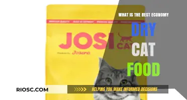 Top Picks for Thrifty Feline Diets: The Best Economy Dry Cat Foods Reviewed
