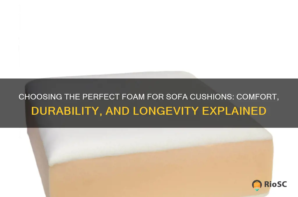 what is the best foam to use for sofa cushions