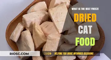 Exploring the Top Freeze-Dried Cat Food Options: A Comprehensive Guide for Pet Owners
