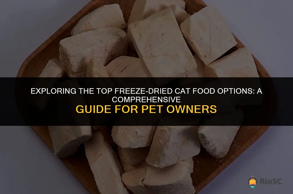 what is the best freeze dried cat food