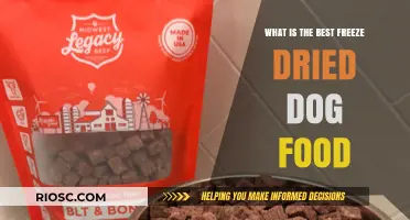 Top Picks for Freeze-Dried Dog Food: Nutrition, Taste, and Quality Compared