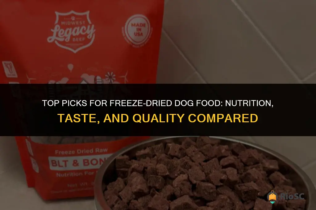 what is the best freeze dried dog food