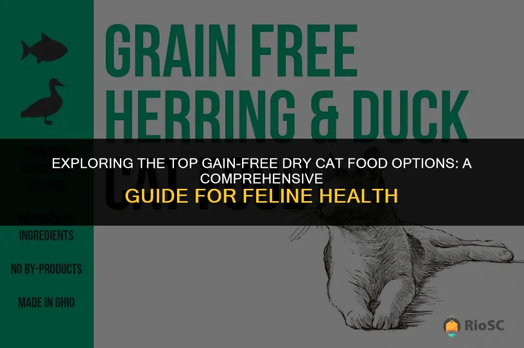 what is the best gain free dry cat food