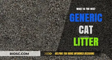 Top Picks for the Best Generic Cat Litter: Affordable and Effective Options for Your Feline Friend
