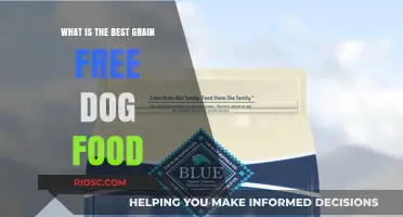 Top Grain-Free Dog Food Options: A Comprehensive Guide for Pet Owners