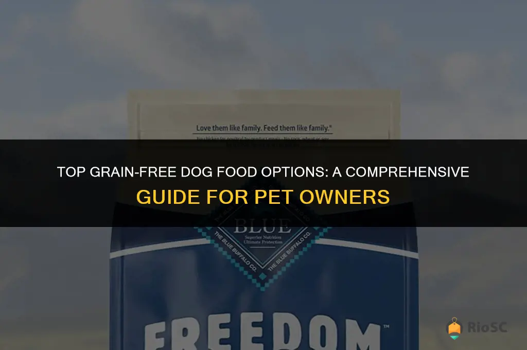 what is the best grain free dog food