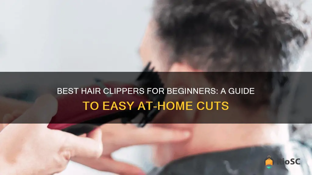 what is the best hair clippers for beginners