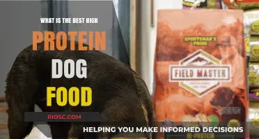 Top High-Protein Dog Foods: Nutritional Benefits and Best Brands for Your Canine Companion
