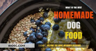 Wholesome Bites: Crafting the Perfect Homemade Dog Food for Your Furry Friend