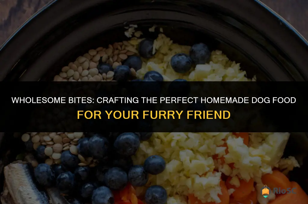 what is the best homemade dog food