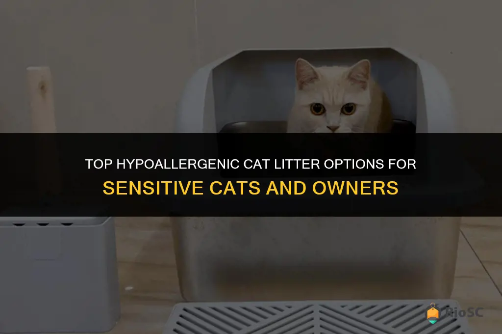 what is the best hypoallergenic cat litter