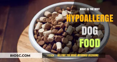 Top Picks for Hypoallergenic Dog Food: A Comprehensive Guide to Keeping Your Pup Healthy and Happy