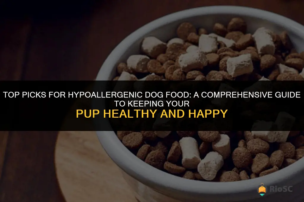 what is the best hypoallergenic dog food