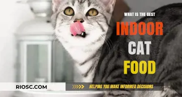 Top Picks for Your Feline Friend: The Best Indoor Cat Food Options