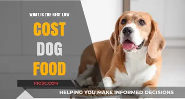 Affordable Nutrition: Finding the Best Low-Cost Dog Food for Your Furry Friend