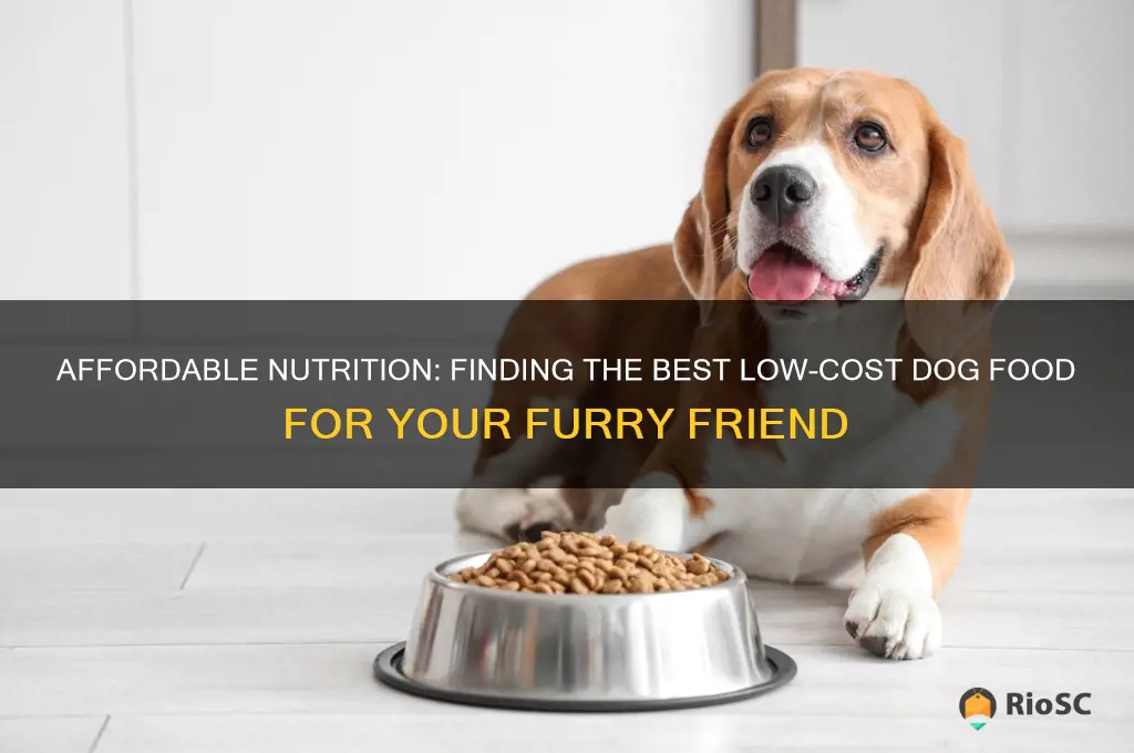 what is the best low cost dog food