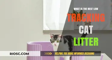 Top Picks for Low-Tracking Cat Litter: Keep Your Home Clean and Your Cat Happy