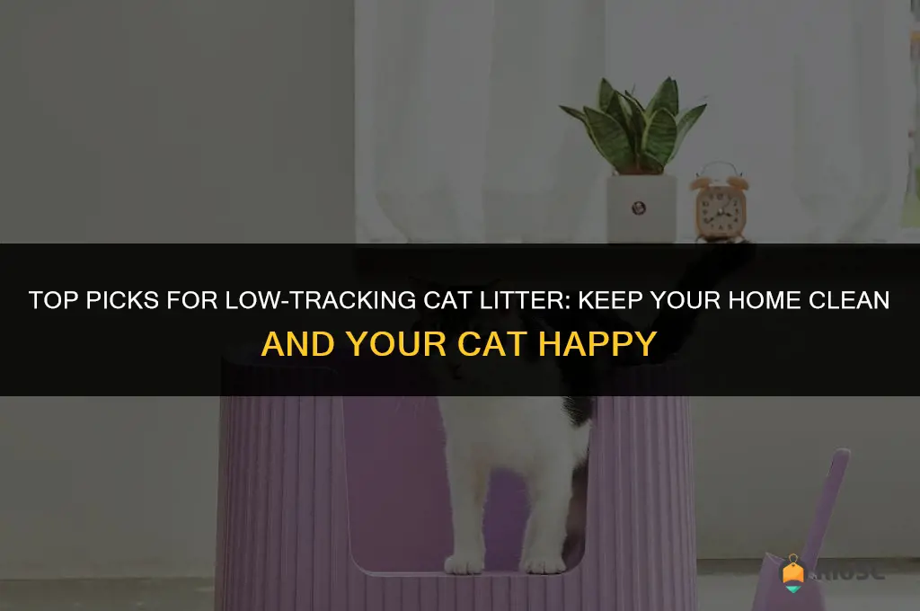 what is the best low tracking cat litter