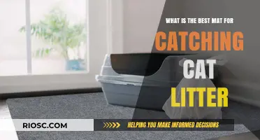 Top Picks: The Best Cat Litter Mats for a Clean and Tidy Home