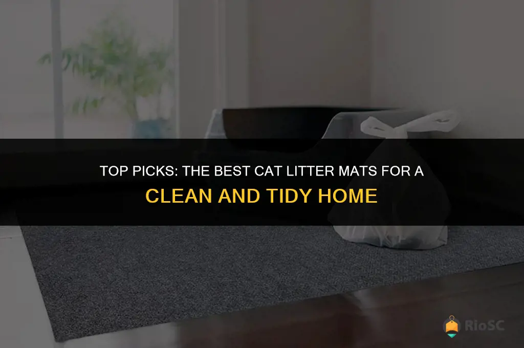 what is the best mat for catching cat litter