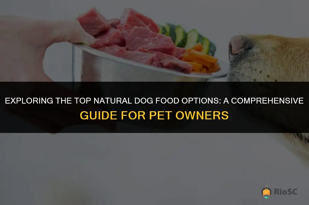 what is the best natural dog food