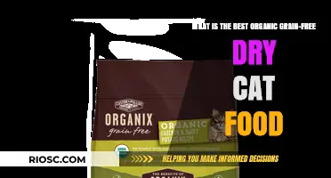 Top Picks for Organic Grain-Free Dry Cat Food: A Comprehensive Guide