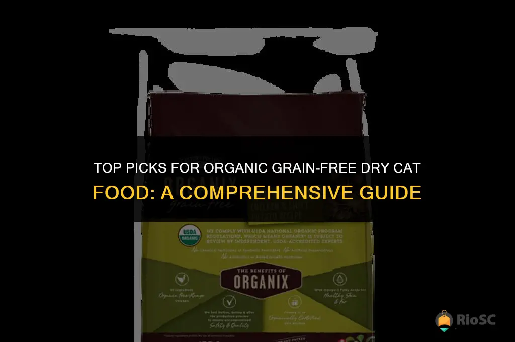 what is the best organic grain-free dry cat food