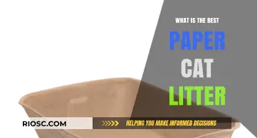 The Ultimate Guide to Choosing the Best Paper Cat Litter for Your Feline Friend