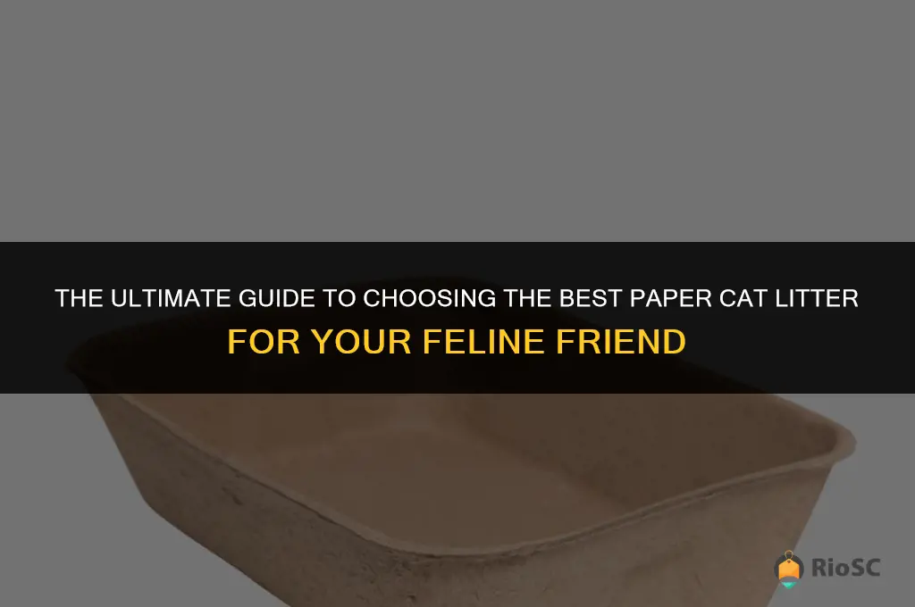 what is the best paper cat litter