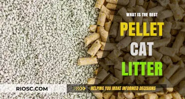The Ultimate Guide to Choosing the Best Pellet Cat Litter for Your Feline Friend