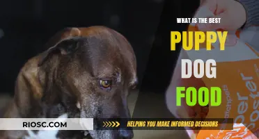 Nutrition for New Furry Friends: A Guide to the Best Puppy Dog Food