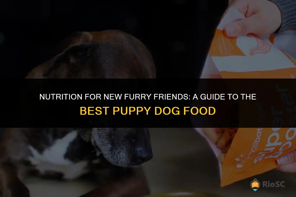 what is the best puppy dog food