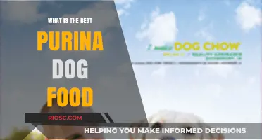 Choosing the Best Purina Dog Food: A Comprehensive Guide to Nutritional Excellence for Your Canine Companion