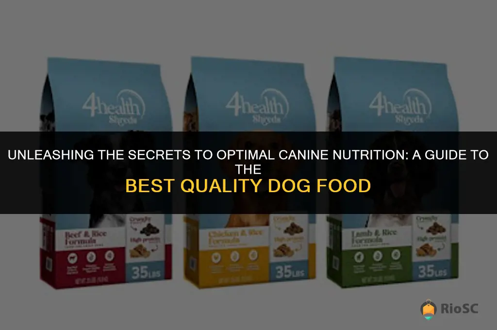 what is the best quality dog food
