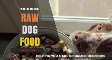 Exploring the Top Raw Dog Food Options: A Comprehensive Guide for Pet Owners