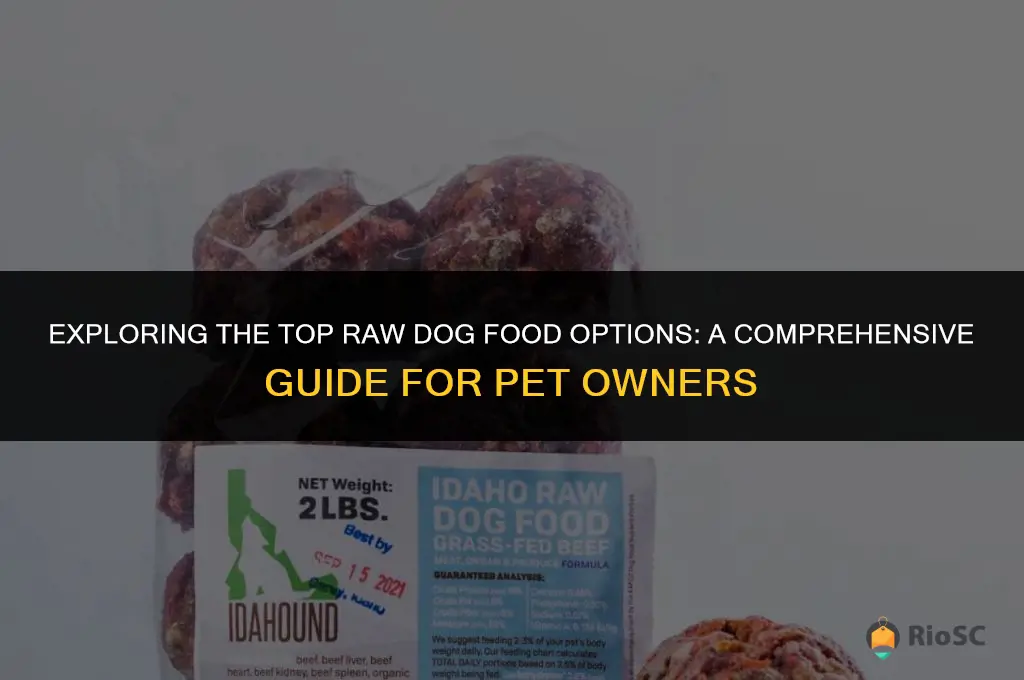 what is the best raw dog food