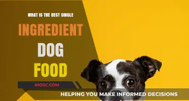 The Ultimate Guide to Choosing the Best Single Ingredient Dog Food for Optimal Canine Health