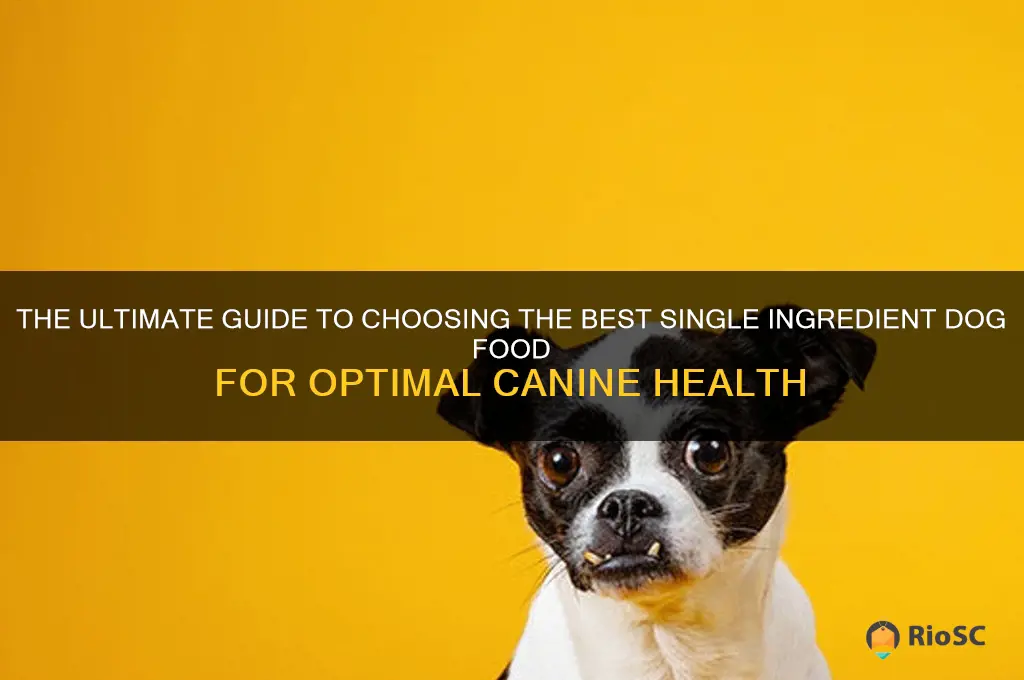 what is the best single ingredient dog food